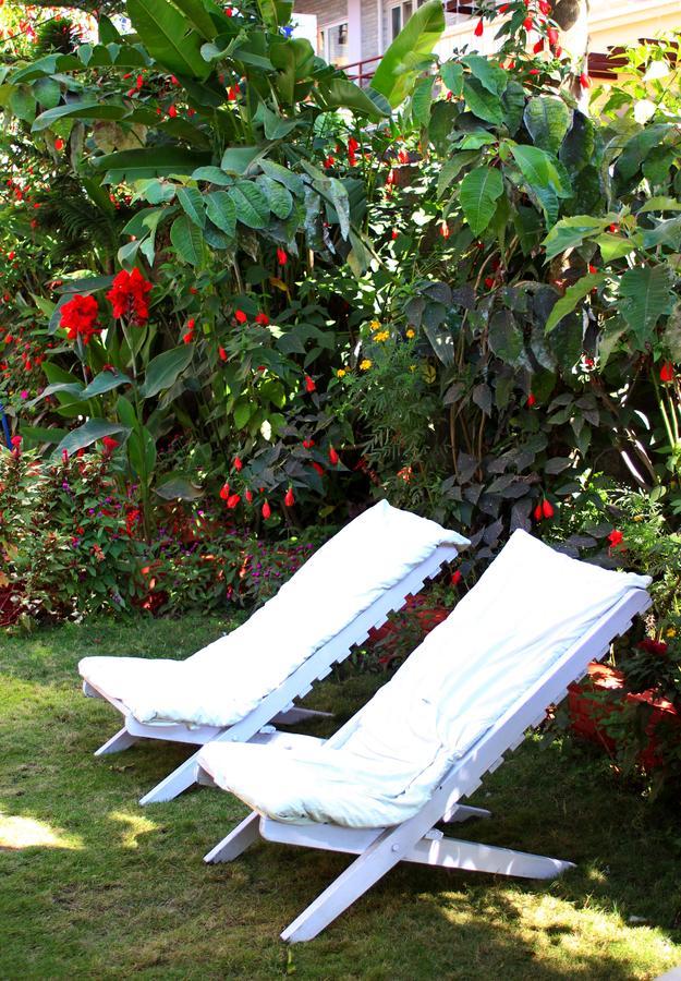 Hotel Angel Pokhara Esterno foto