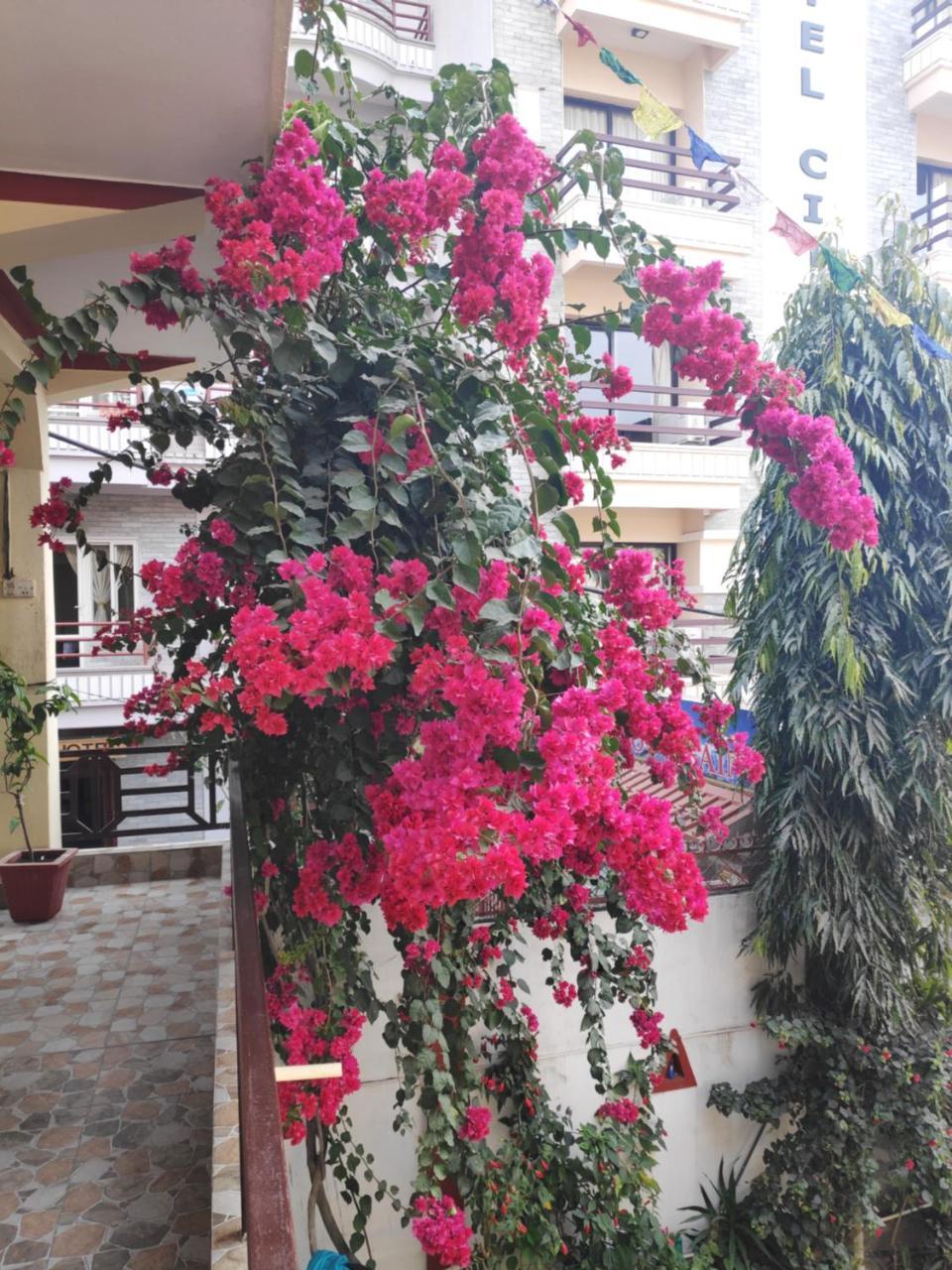 Hotel Angel Pokhara Esterno foto