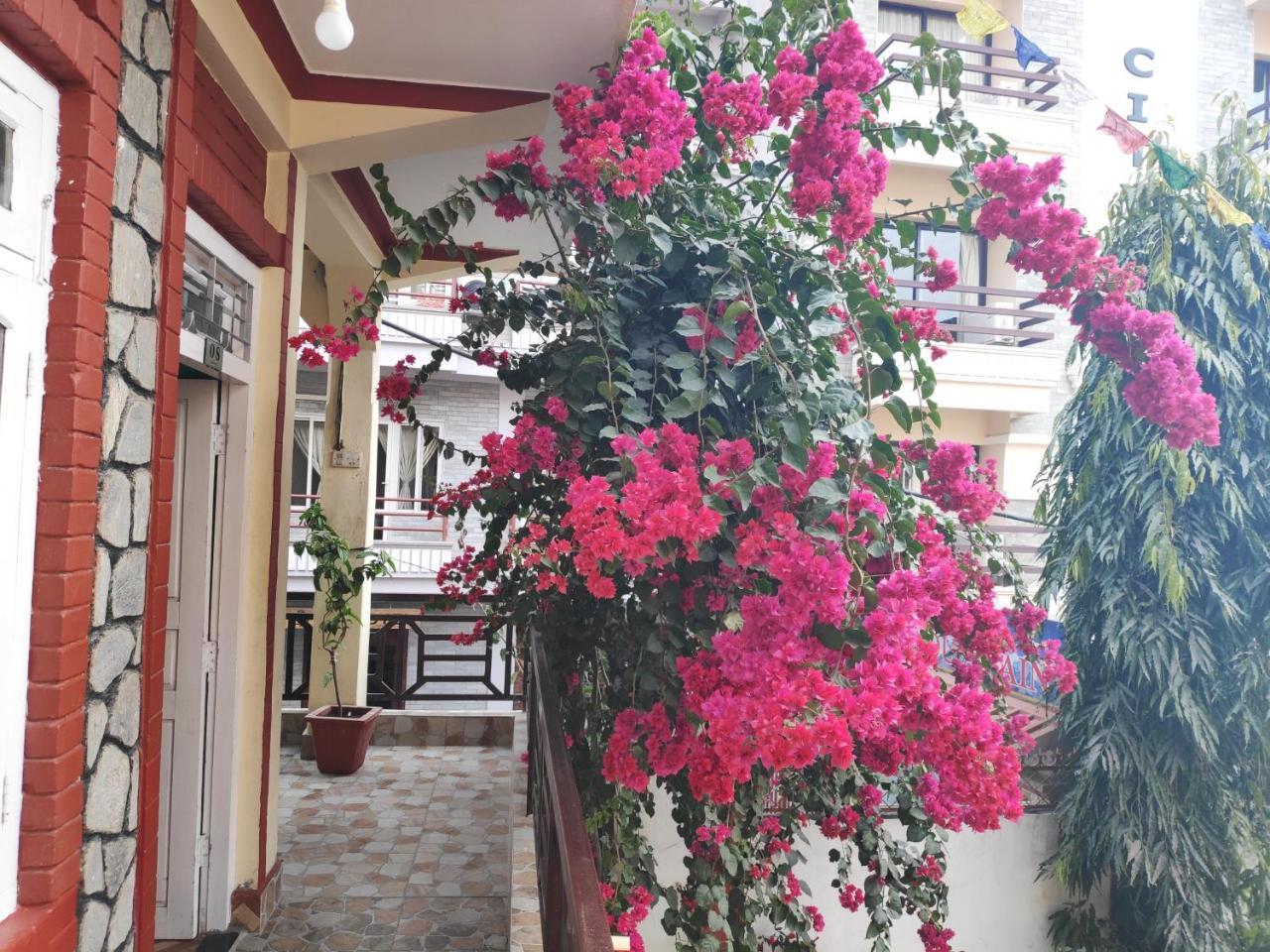 Hotel Angel Pokhara Esterno foto